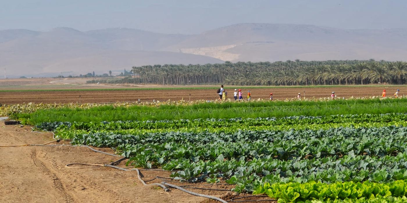 Modern Kibbutz agriculture in Galilee